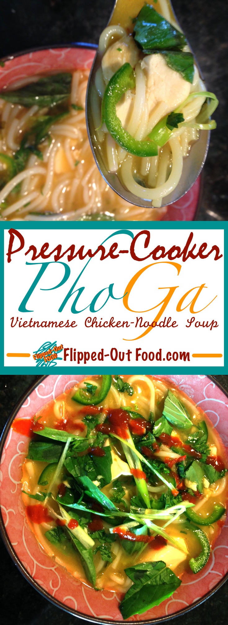 pressure-cooker pho ga (chicken pho)