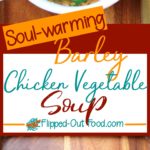 barley chicken & vegetable soup pin collage
