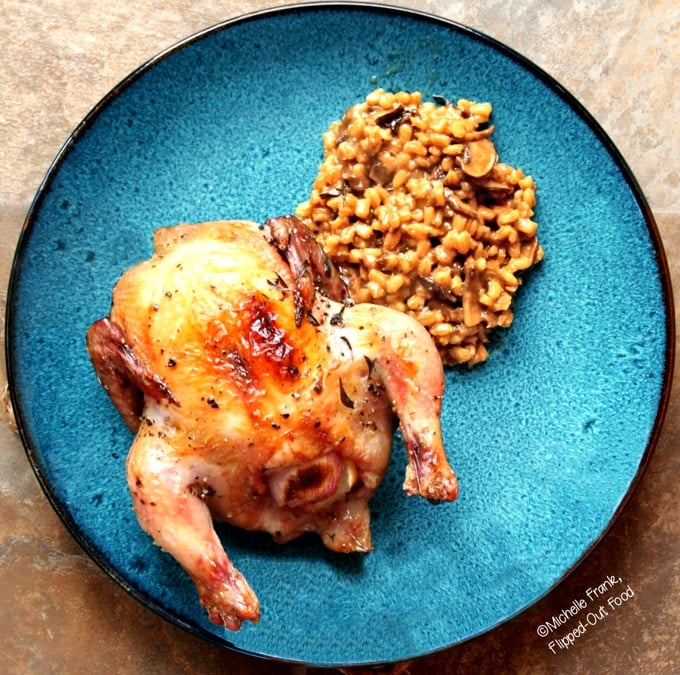 One-Pot Cornish Game Hens with Mushroom-Barley Pilaf: a browned, a Cornish game hen, brown and crispy from roasting, with a generous helping of mushroom-barley pilaf.