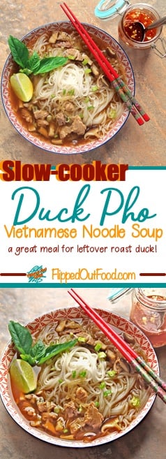 slow-cooker duck pho
