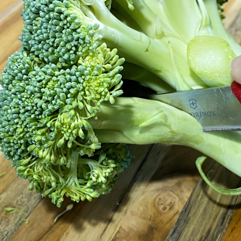 Cutting a floret from the crown of broccoli by slicing at the base of the floret stalk.