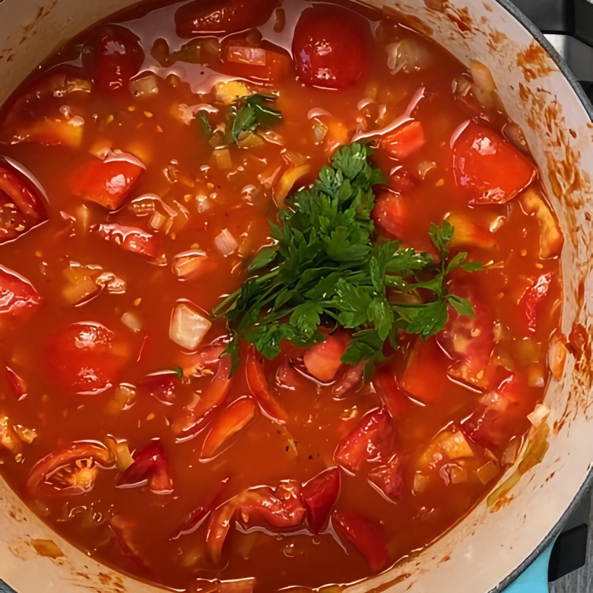 Top view of Fresh Tomato Soup simmering with a sprig of fresh parsley.