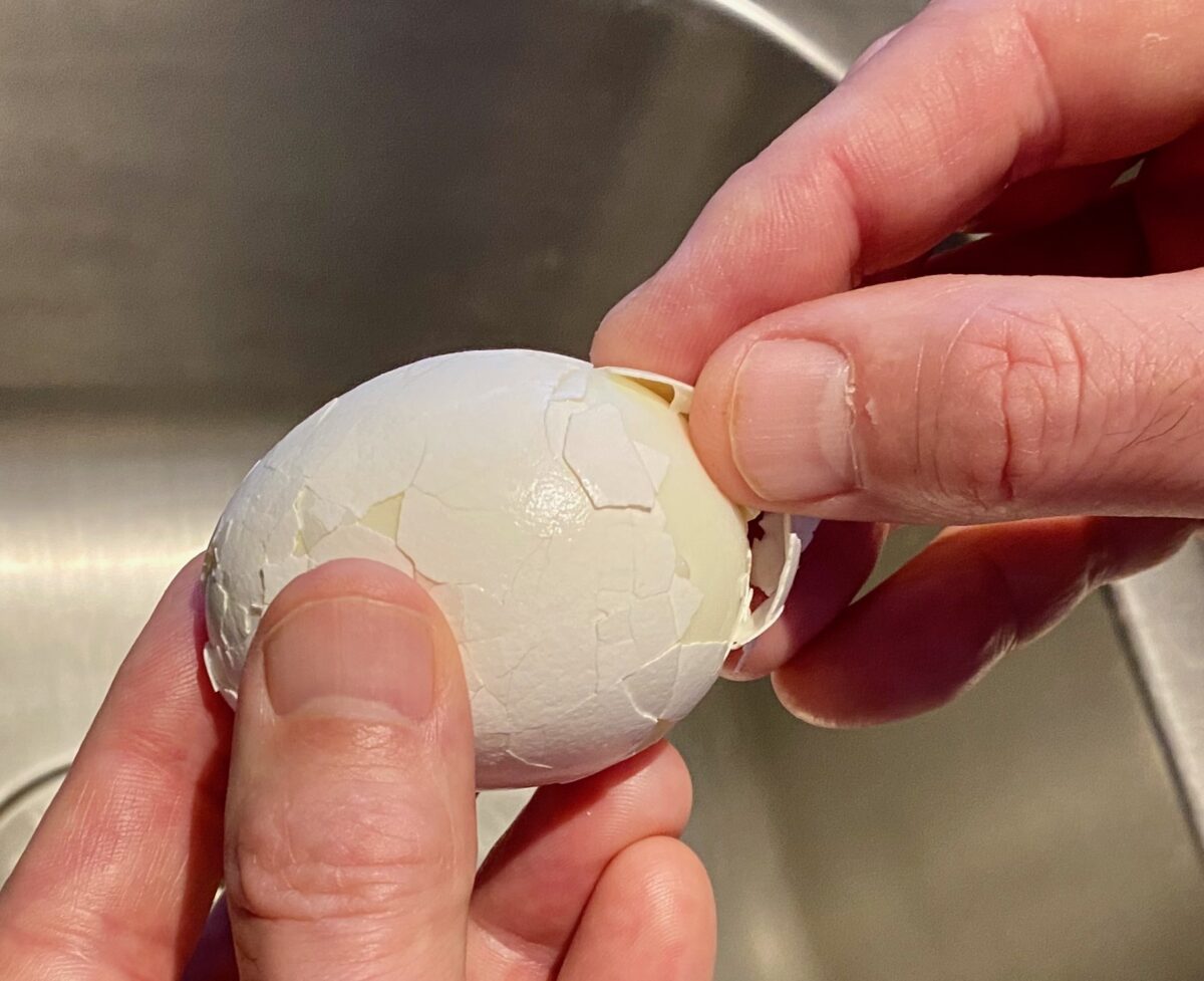 Side view of a cracked hard boiled egg that is beginning to be peeled from one end.