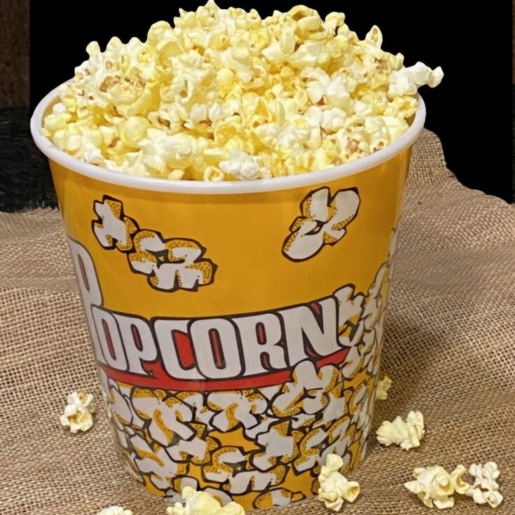 Movie Theater Popcorn - Flipped-Out Food