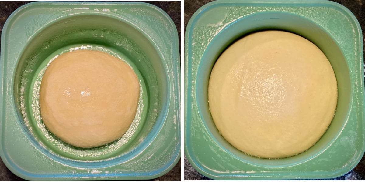 two images side by side showing how the dough has risen from the beginning until the end of cold fermentation.