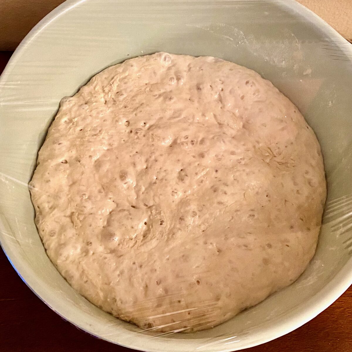 The dough after a long, room temperature proof. Bubbles have formed on the top of the dough, which is exactly what we want.