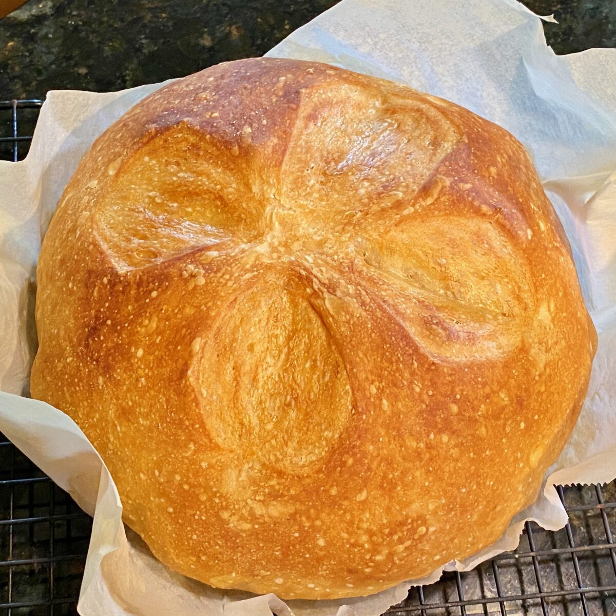 A beautiful, rustic boule fresh from the oven. The load is resting on parchment paper, but will be removed to a cooling rack.